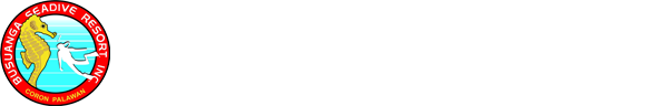 Busuanga Seadive Resort Inc.